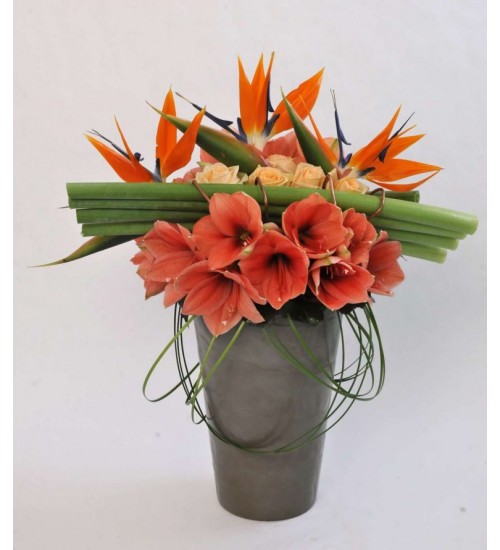 Σύνθεση από Αμαρυλλίδες, Τριαντάφυλλα και Στερλίτσιες σε κεραμικό ποτ