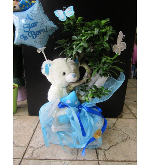 ΒΑΠΤΙΣΗ ΑΓΟΡΙΟΥ 1